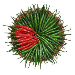 Tejashree Hot Pepper From Known You Seed (India)-KYI